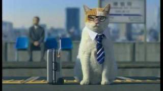 Cute Japanese Kitty Cat Commercial Jalan [upl. by Naehs]