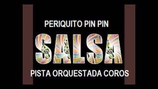 PISTA PERIQUITO PIN PIN [upl. by Gluck997]