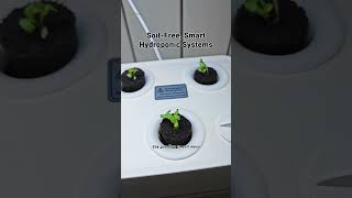 Transform Your Home with Versatile Growing Systems [upl. by Forkey]