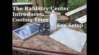 RABBITS IN SUMMERTHE RABBITRY CENTERS COOLING TOTES [upl. by Mosby]