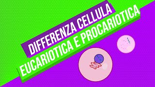 Che differenza cè tra le cellule eucariotiche e procariotiche  Pillole di scienza [upl. by Flavius642]