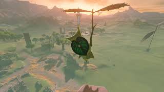 Korok seeds  Hyrule Garrison Ruins  Central Tower 4648  Zelda BOTW [upl. by Eliga]