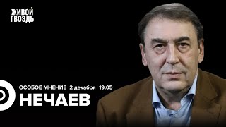 Рост цен Ядерная угроза Протесты в Грузии Андрей Нечаев Особое мнение  021224 [upl. by Trey598]