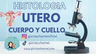 Histología para medicina cuerpo y cuello uterino [upl. by Rochemont914]