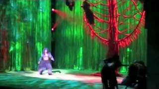 Tarzan The Broadway Musical  Mensenkind Son of Man LIVE DUTCH [upl. by Handler]