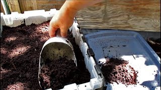 Harvesting Worm Castings  Highly Effective Method For Separating Out The Worms [upl. by Eeramit]