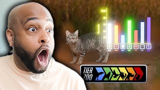 How Cats Broke The Game  TierZoo   Reaction [upl. by Leumek718]