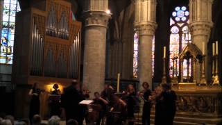 Bach  Organ Concerto D minor  Bart Jacobs amp Les Muffatti [upl. by Aloke]