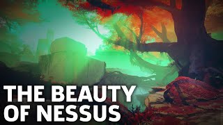 Destiny 2  Nessus Exploration Gameplay [upl. by Enayr]