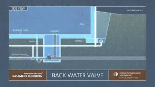 5 ICLR narrated animation Backwater valves and disconnecting foundation drains [upl. by West]