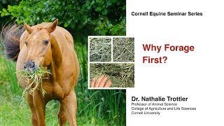 Why Forage First Cornell Equine Seminar Series November 2022 [upl. by Havard]