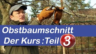 Obstbaumschnitt Der Kurs  Obstbaum schneiden Schritt für Schritt erklärt  Teil 3 [upl. by Anivek997]