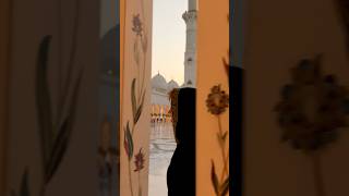 Pacification at the Sheikh Zayed Mosque🕌 [upl. by Atikal]