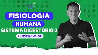 Fisiologia Humana  Sistema Digestório 2 [upl. by Kirred]