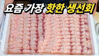 맛있는 회는 대체 어디서 사먹냐고요 미리 알고 드셔야 맛있습니다김지민의 자산어보 EP 008 삼치편 [upl. by Aisauqal151]