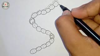 Nostoc Bacteria Diagram  How To Draw Nostoc  Nostoc Labelled Diagram  Nitrogen Fixing Bacteria [upl. by Devad]