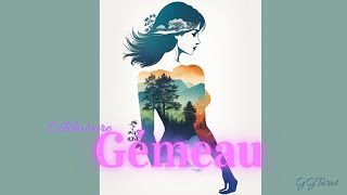 Gémeau Laisse tomber [upl. by Sussna832]