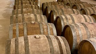 How to Age Wine WITHOUT Barrel at Home [upl. by Eelyab]