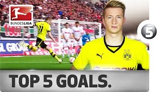 Marco Reus  Top 5 Goals [upl. by Halyhs657]