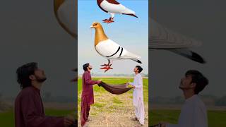 youtubeshorts islamicvideo shortvideo vfxshorts [upl. by Procora624]