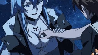 Akame Ga Kill Episode 14 アカメが斬る Anime Review  Tatsumis Hormones Vs Esdeaths Sexyness [upl. by Angelle]