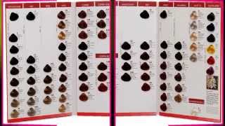 Hair colour charts [upl. by Buonomo]