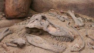 Unearthing Dinosaur Remains  Documentary on Finding Dinosaur Fossils Full Documentary [upl. by Peedsaj464]