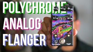 Walrus Audio Polychrome Analog Flanger  REVIEW amp PLAYTHROUGH [upl. by Prouty]