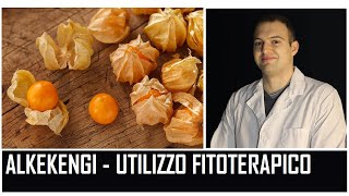 ALKEKENGI  Utilizzo nella fitoterapia [upl. by Nnylkoorb]