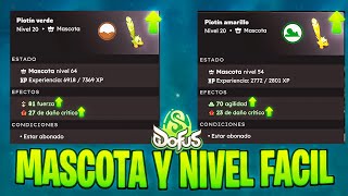 CONSIGUE TU PRIMERA MASCOTA Y SUBELA DE NIVEL MUY FÁCIL EN DOFUS 3 🔝🔝 [upl. by Giglio553]