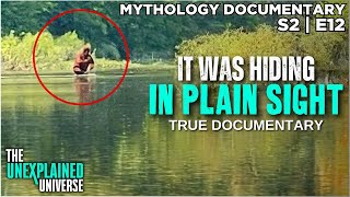 New Zealands Bigfoot Caught On Camera  Moehau  Mythology Documentary  Boogeymen  S2E12 [upl. by Aicila]