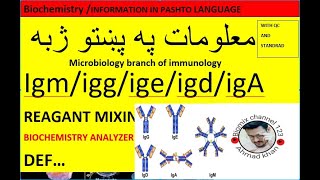 Immunoglobulin iggigm igAigeigD in pashto [upl. by Willow]