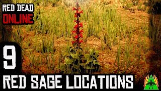 Red Dead Redemption 2 ONLINE  RED SAGE LOCATIONS [upl. by Ajaj725]