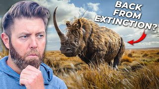 6 Extinct Animals That Could Actually Come Back [upl. by Ecirtael]