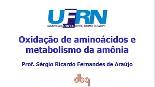 Curso de Bioquimica Oxidação de aminoácidos e ciclo da uréia [upl. by Mandel]