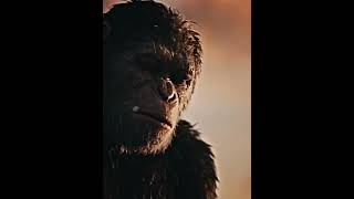 Death of Caesar Sad apetogetherstrong apes edit cornelius kingdomoftheplanetoftheapes [upl. by Dhiren]