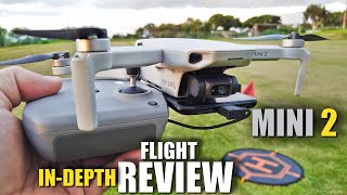 DJI MINI 2 Flight Test Review IN DEPTH  How good is itREALLY [upl. by Gabie]