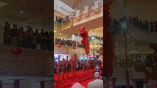 Barongsai at Puri Indah Mall ytshorts vlog fyp barongsai [upl. by Abita]