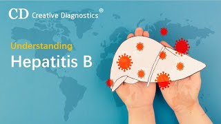 Understanding Hepatitis B  Creative Diagnostics [upl. by Anyal]