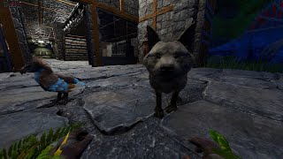 ARK Survival Ascended  Ep24  Platform build  New Dinos [upl. by Eneja680]