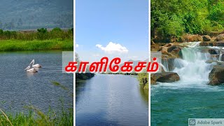 Kalikesam  A Must Visit Heaven Of KanyakumariMindBlowing Cinematic Video [upl. by Ybocaj]