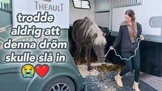 VLOGG HÄMTAR HEM MIN FÖRSTA HÄST TILL MIN EGEN GÅRD [upl. by Yrag]