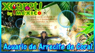 Parque XCARET MÉXICO Acuario [upl. by Naicul]