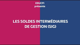 Les Soldes Intermédiaires de Gestion SIG expliqués en trois minutes – Simple comme compta [upl. by Airres128]