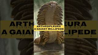 Meet Arthropleura The GIANT Prehistoric Millipede That Ruled Ancient Forestsquot shortsviralfacts [upl. by Elfrida]