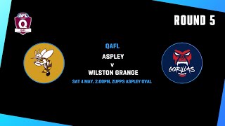 QAFL ROUND 5 Aspley v Wilston Grange [upl. by Raymond]