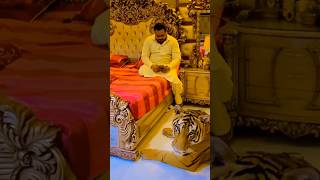 tigerlion tiger punjabisong wedding [upl. by Allwein739]