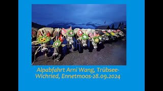 Alpabfahrt Arni Wang Untertrübsee  Wichried Ennetmoos vom 28092024 [upl. by Ennaeus]