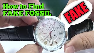 How to Find Fake Fossil [upl. by Basset]