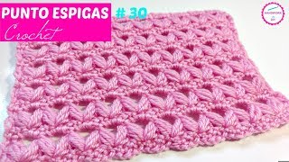 PUNTO CROCHET ESPIGAS  30 [upl. by Amelus]